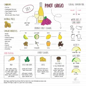 pinot grigio aromas and flavors