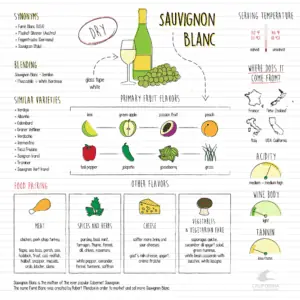 sauvignon blanc aromas and flavors