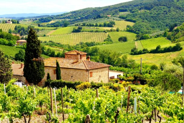 tuscan vineyards in italy's wine region