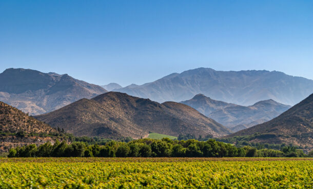 the mountains and vineyards in chile
