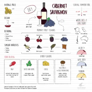 cabernet sauvignon infographic