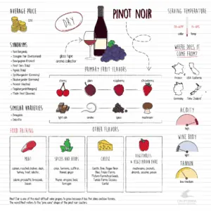 pinot noir infographic