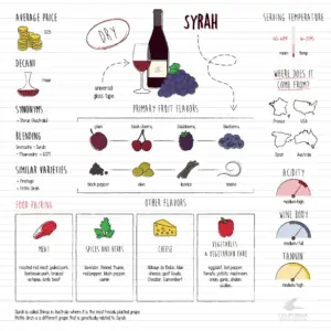infographic showing syrah grape characteristics