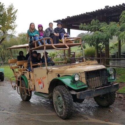 Safari West Jeep (1)